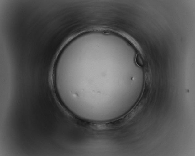 X0000100320911200806191000