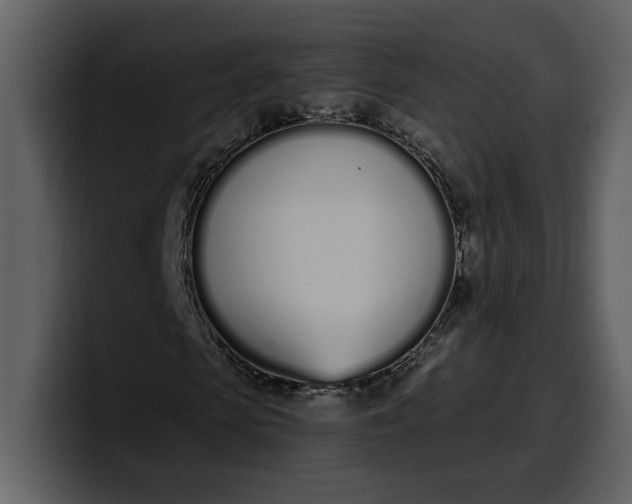 X0000100320913200806191000