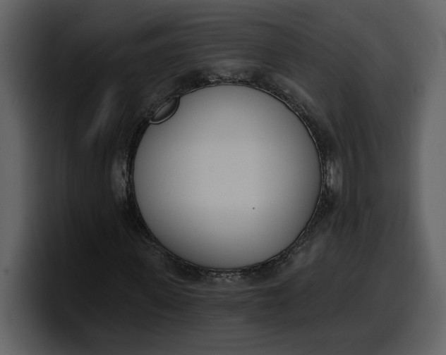 X0000100320915200806191000