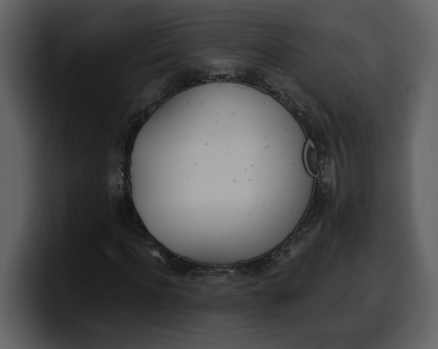 X0000100320916200806191000