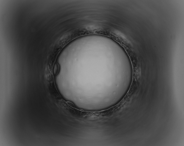 X0000100320917200806191000