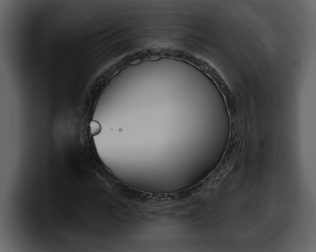 X0000100320919200806191000