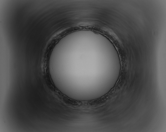 X0000100320920200806191000