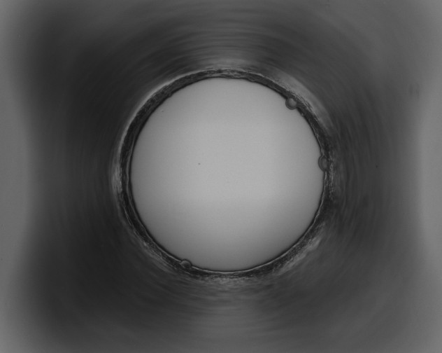 X0000100320924200806191000