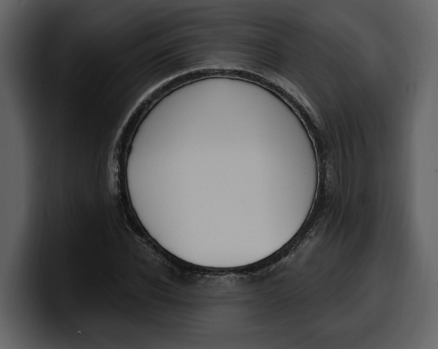 X0000100320926200806191000