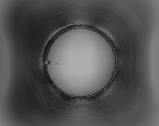 X0000100320927200806191000