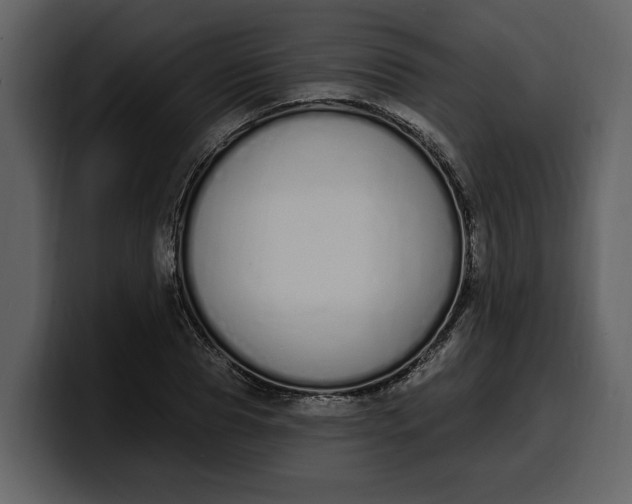 X0000100320929200806191000