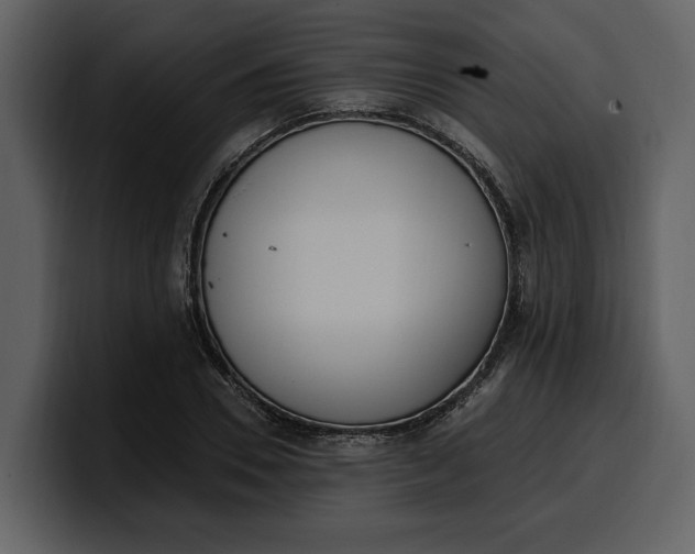 X0000100320930200806191000