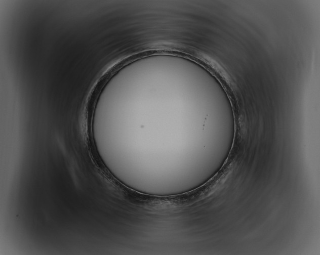 X0000100320931200806191000