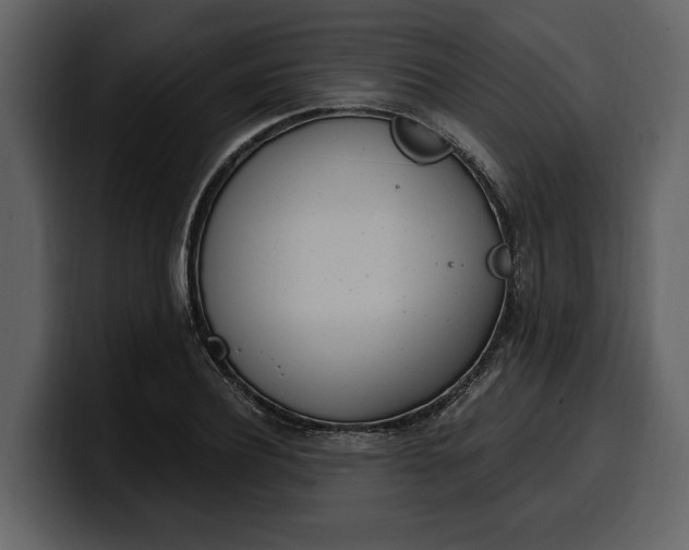 X0000100320932200806191000