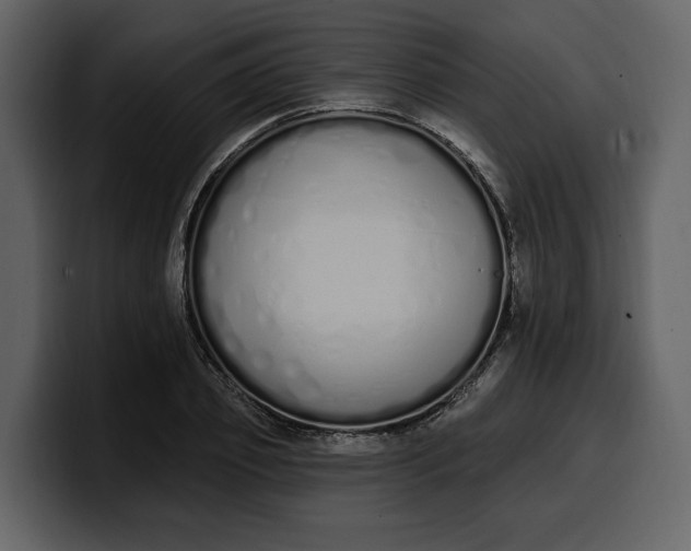 X0000100320933200806191000