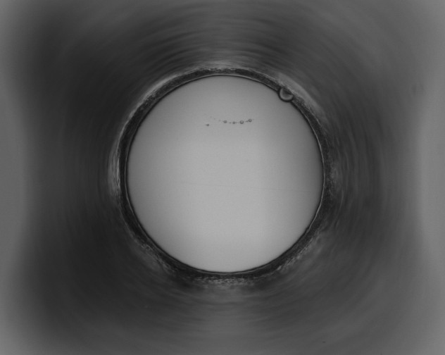 X0000100320934200806191000