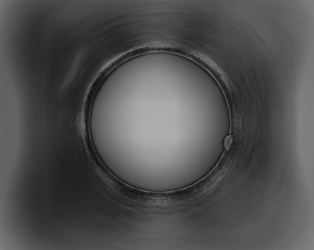 X0000100320935200806191000