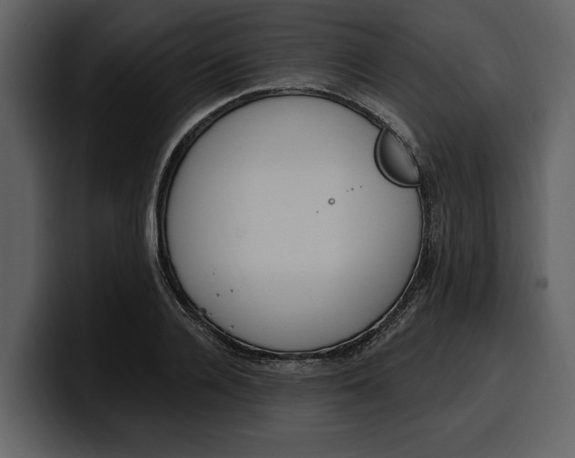 X0000100320936200806191000