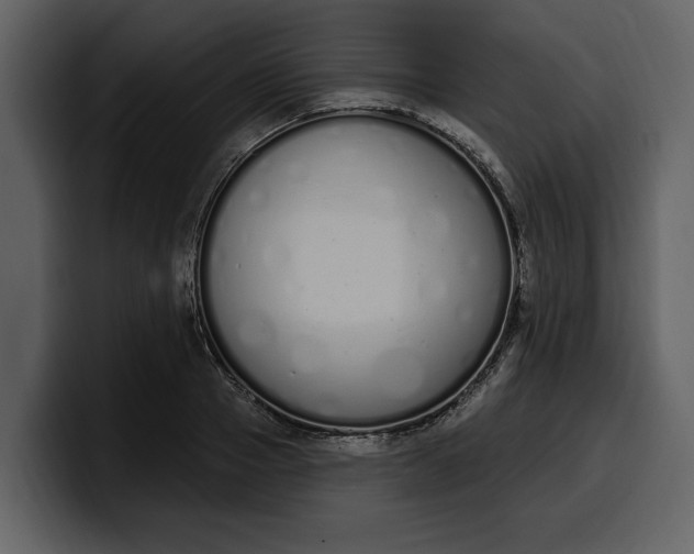 X0000100320937200806191000