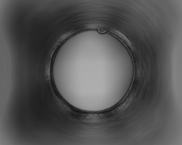 X0000100320938200806191000