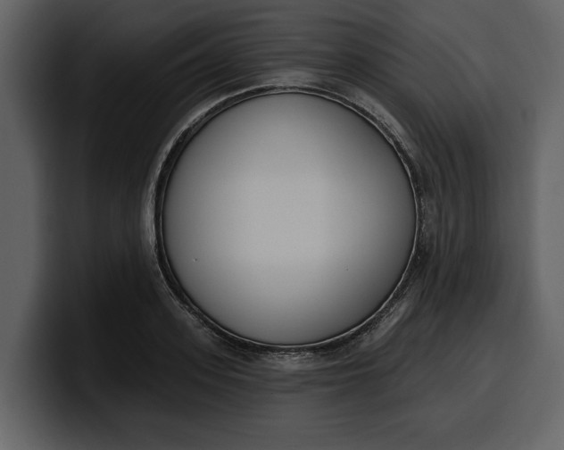 X0000100320939200806191000