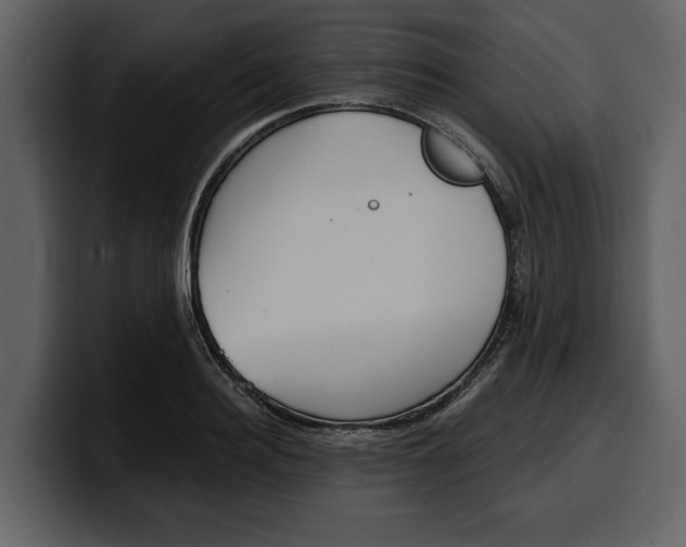 X0000100320940200806191000