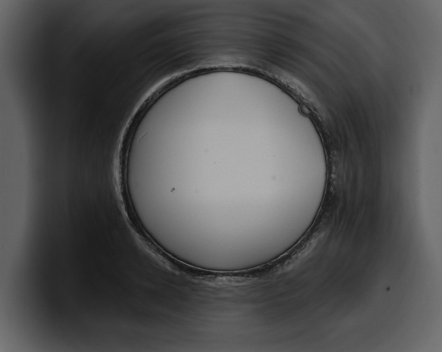 X0000100320942200806191000