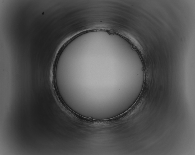 X0000100320944200806191000