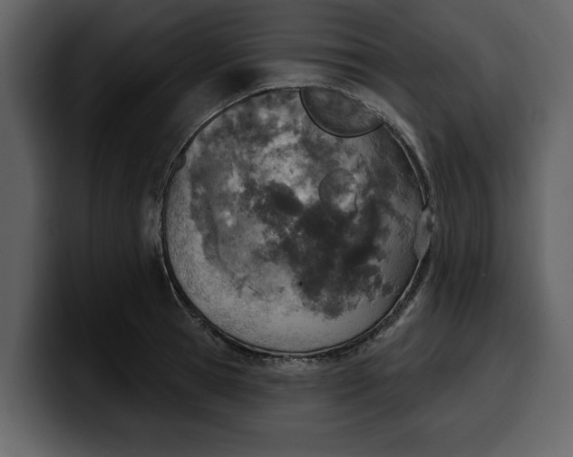 X0000100320945200806191000