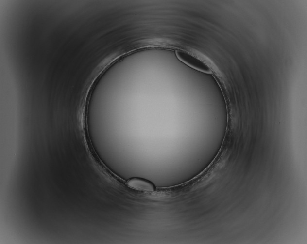 X0000100320946200806191000