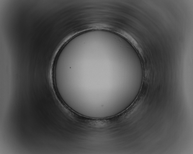 X0000100320947200806191000