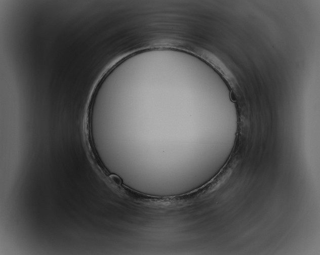 X0000100320948200806191000