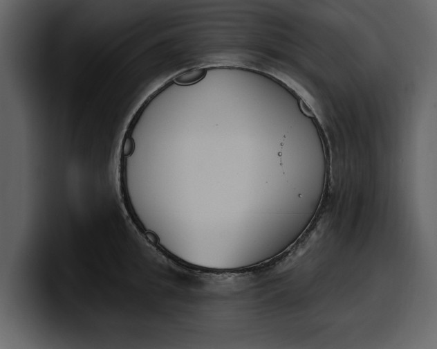 X0000100320949200806191000