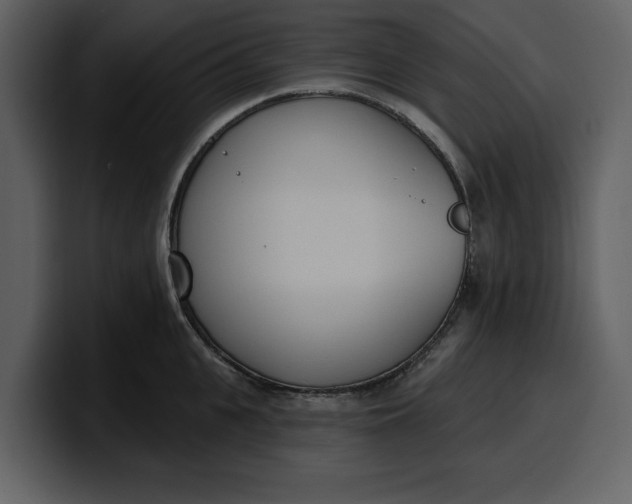 X0000100320951200806191000