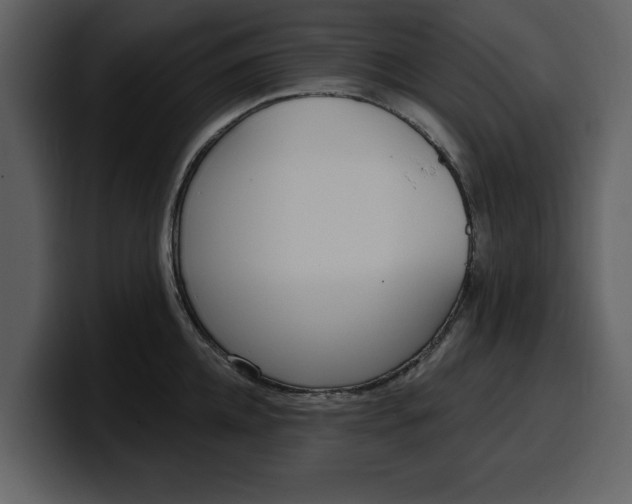 X0000100320952200806191000