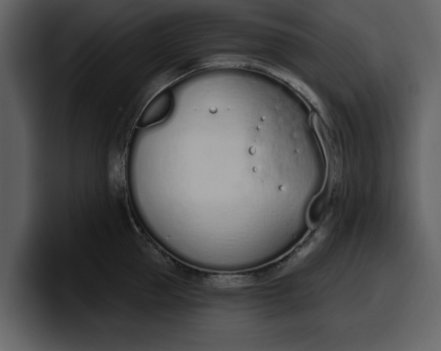 X0000100320953200806191000