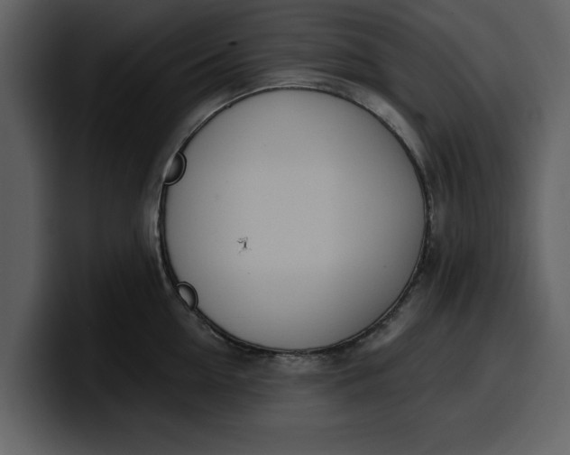 X0000100320954200806191000