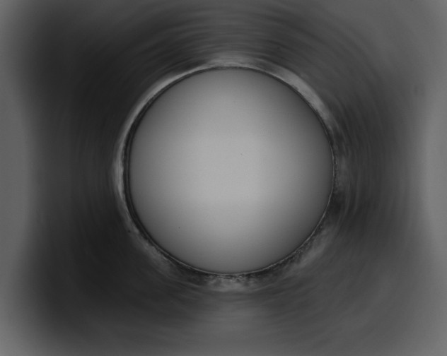 X0000100320955200806191000