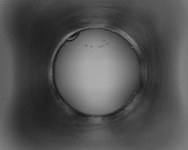 X0000100320956200806191000