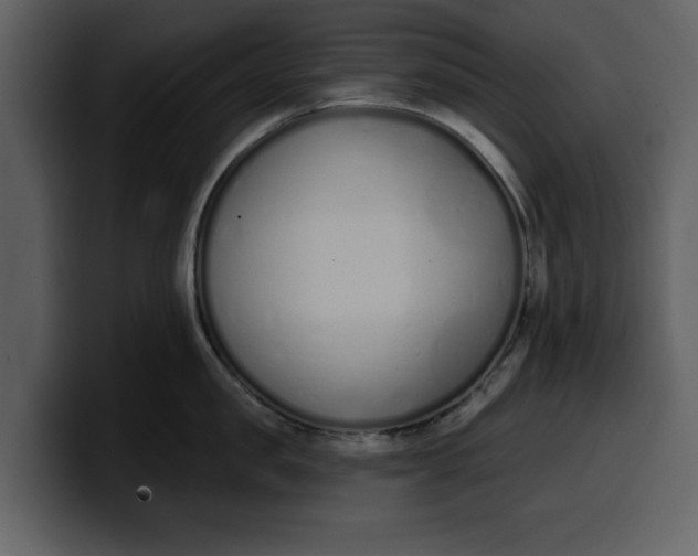 X0000100320957200806191000