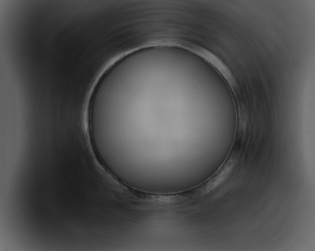 X0000100320958200806191000