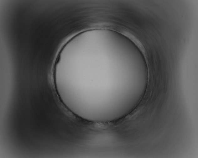 X0000100320960200806191000