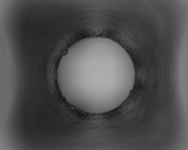 X0000100320961200806191000