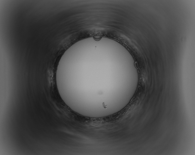 X0000100320964200806191000