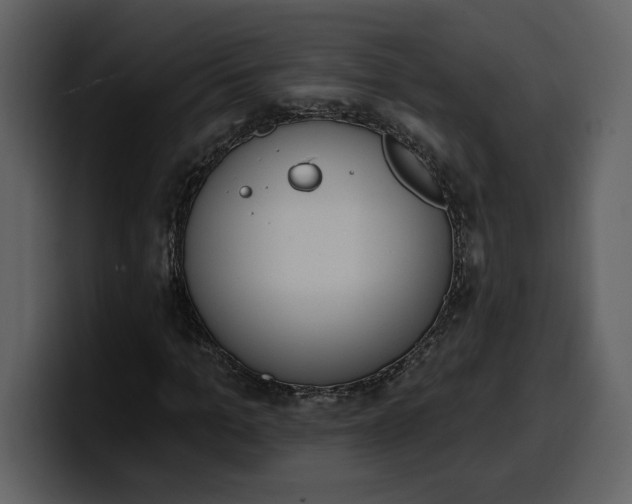 X0000100320965200806191000