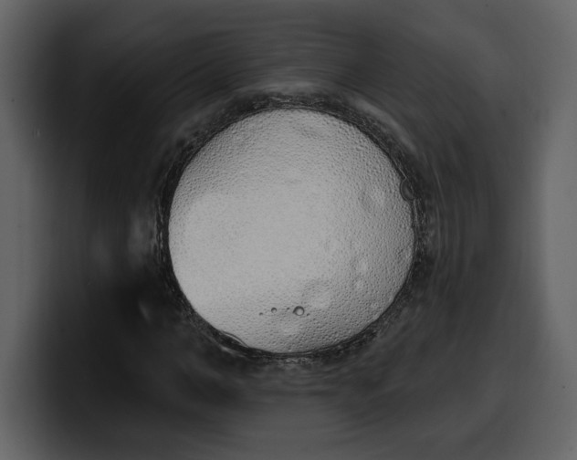 X0000100320966200806191000