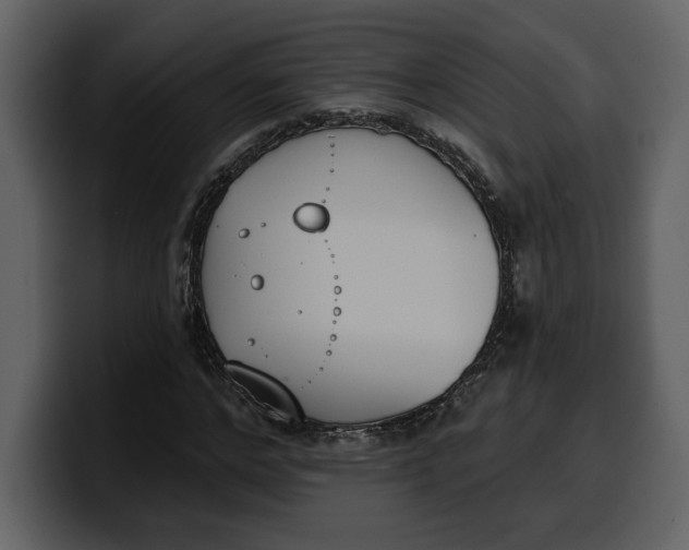 X0000100320968200806191000