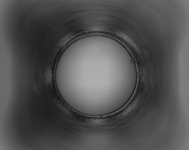 X0000100320969200806191000