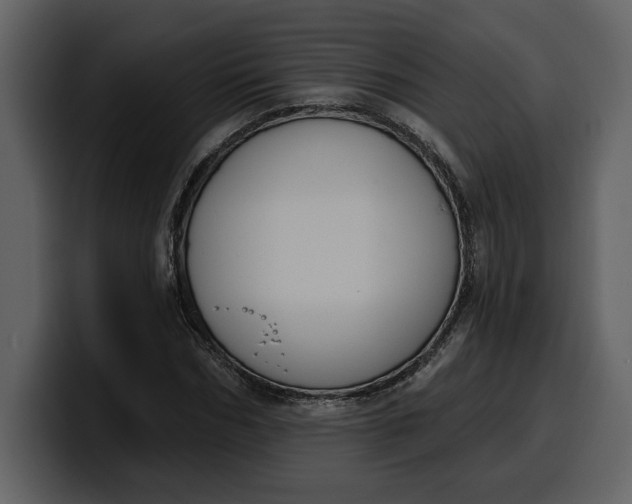 X0000100320970200806190959