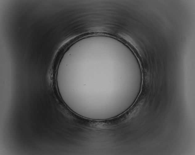 X0000100320971200806190959