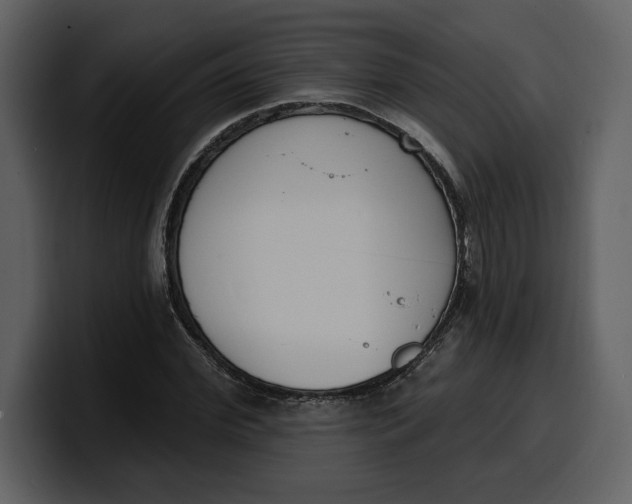 X0000100320972200806190959