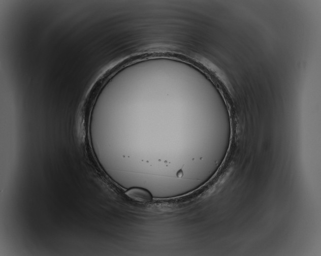 X0000100320973200806190959