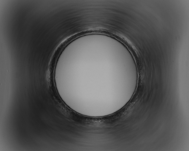 X0000100320975200806190959