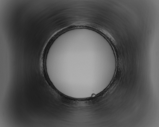 X0000100320976200806190959